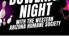 The Western Arizona Humane Society "Back to the 80's Bowling Night