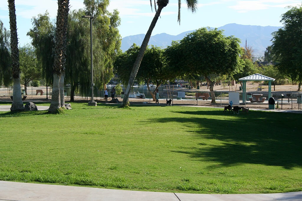 Lions Dog Park at London Bridge Beach, Lake Havasu City, AZ