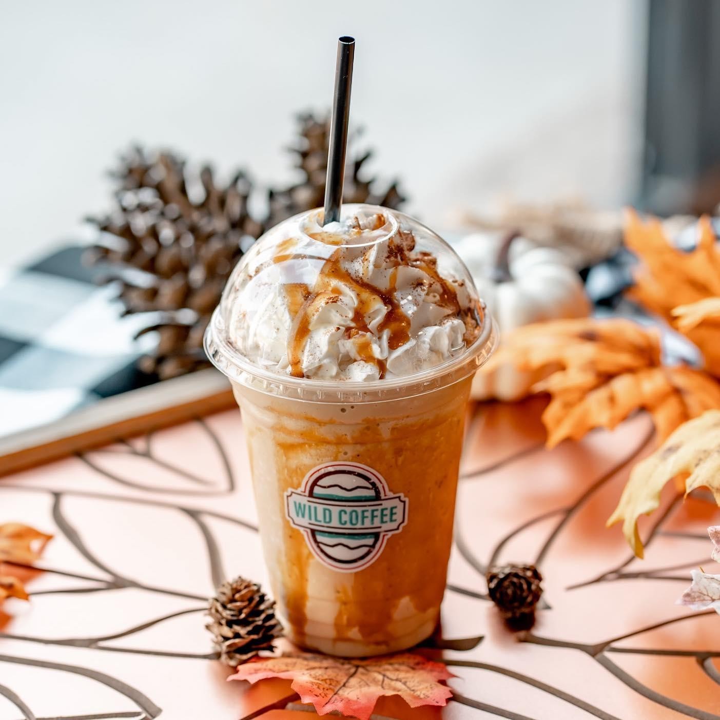 Wild Coffee | Lake Havasu City